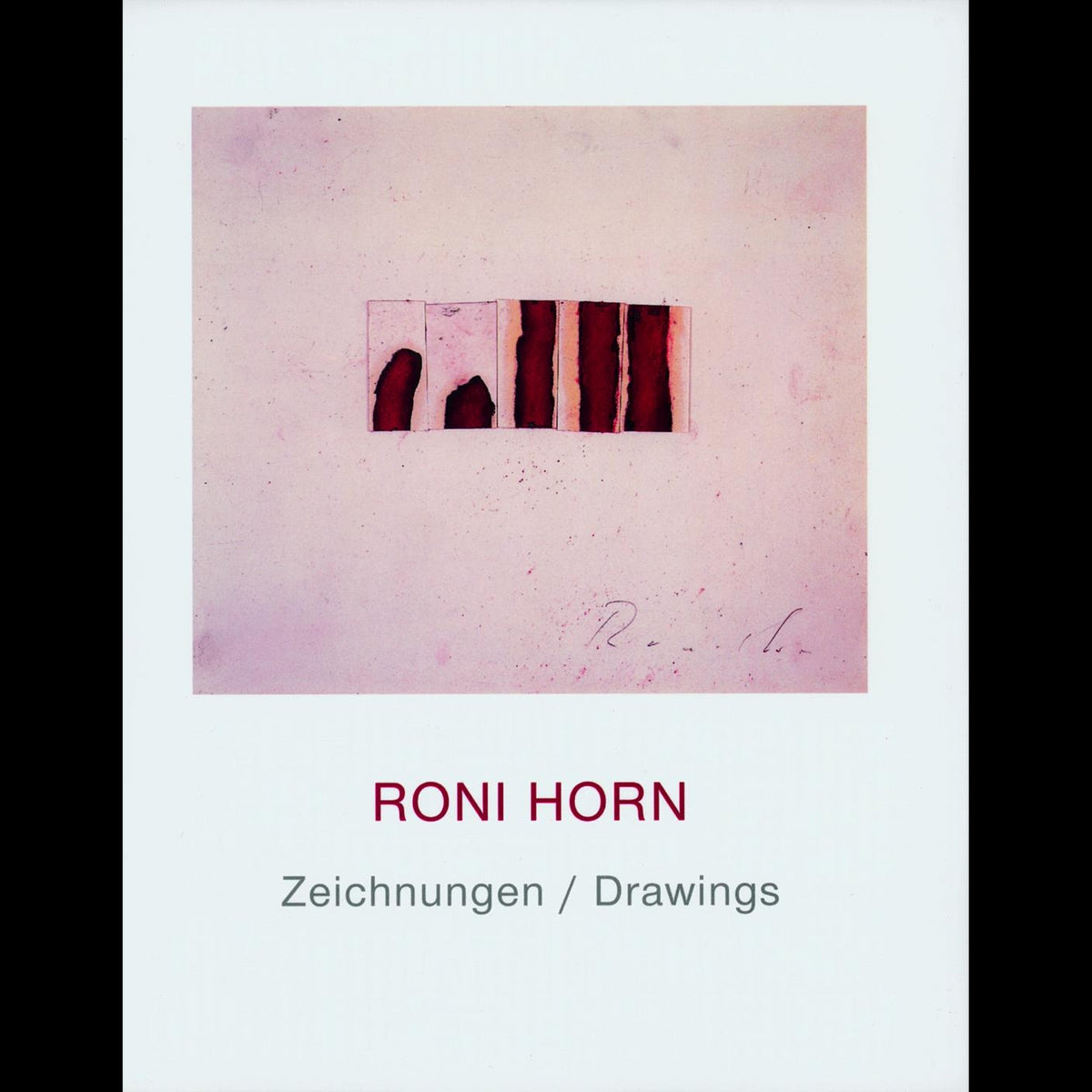 Coverbild Roni Horn
