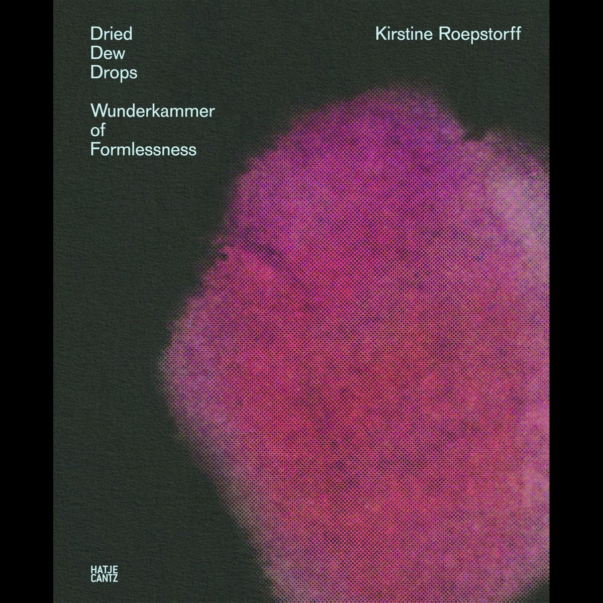 Coverbild Kirstine Roepstorff