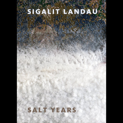 Cover Sigalit Landau